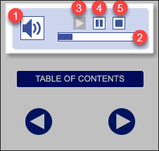 QualityTrainingPortal Course Nav Audio Controls