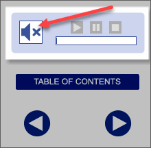 QualityTrainingPortal Course Nav Audio Off1