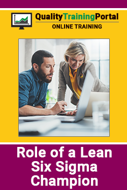 Role of a Lean Six Sigma Champion Training
