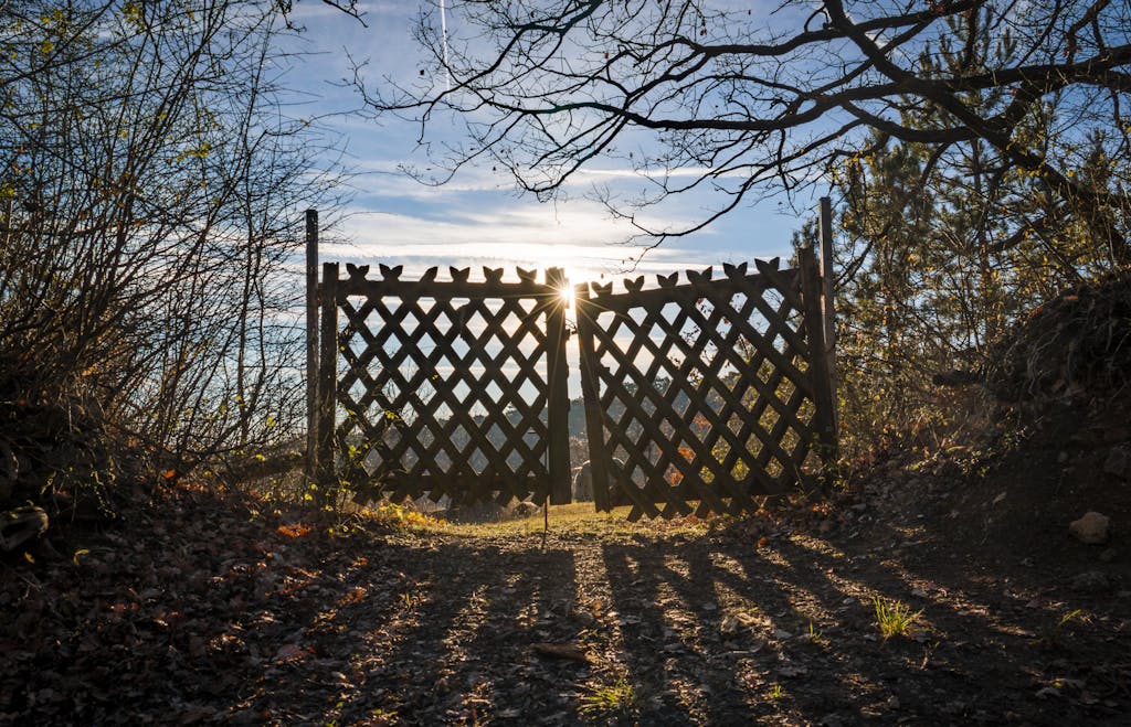 Beautiful sun rays shining through a wooden gate in a tranquil forest setting at sunset.